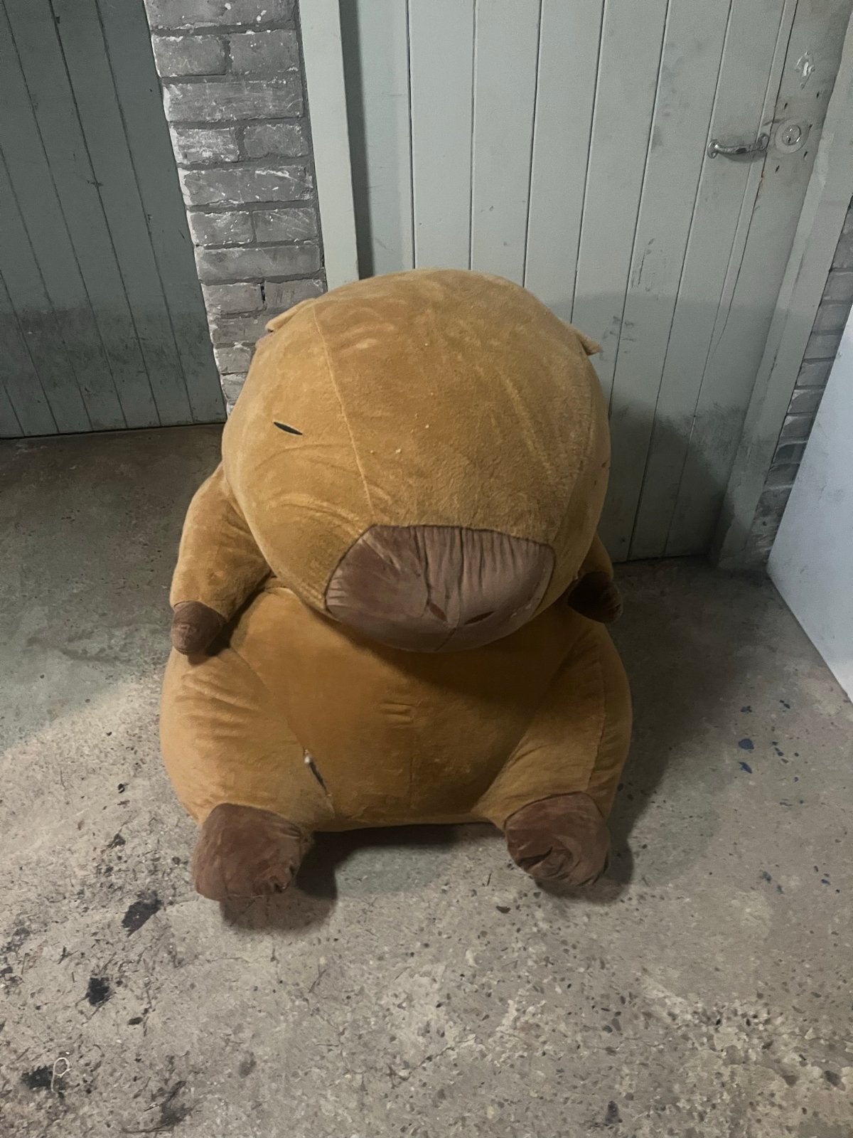 Grote bobber/bever knuffel - makkelijk te repareren, Ophalen, Gebruikt, Overige typen, Bruin
