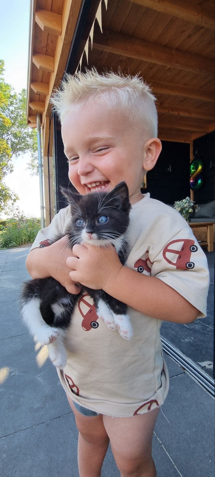 Boerderij Kitten, Poes