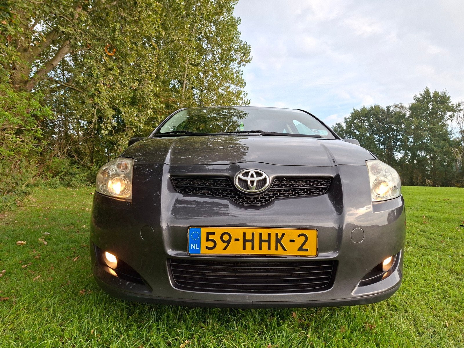 Toyota Auris 1.6 16V Vvt-i 5DR Terra 2008 Grijs, Voorwielaandrijving, 450 kg, 4 cilinders, 123 pk