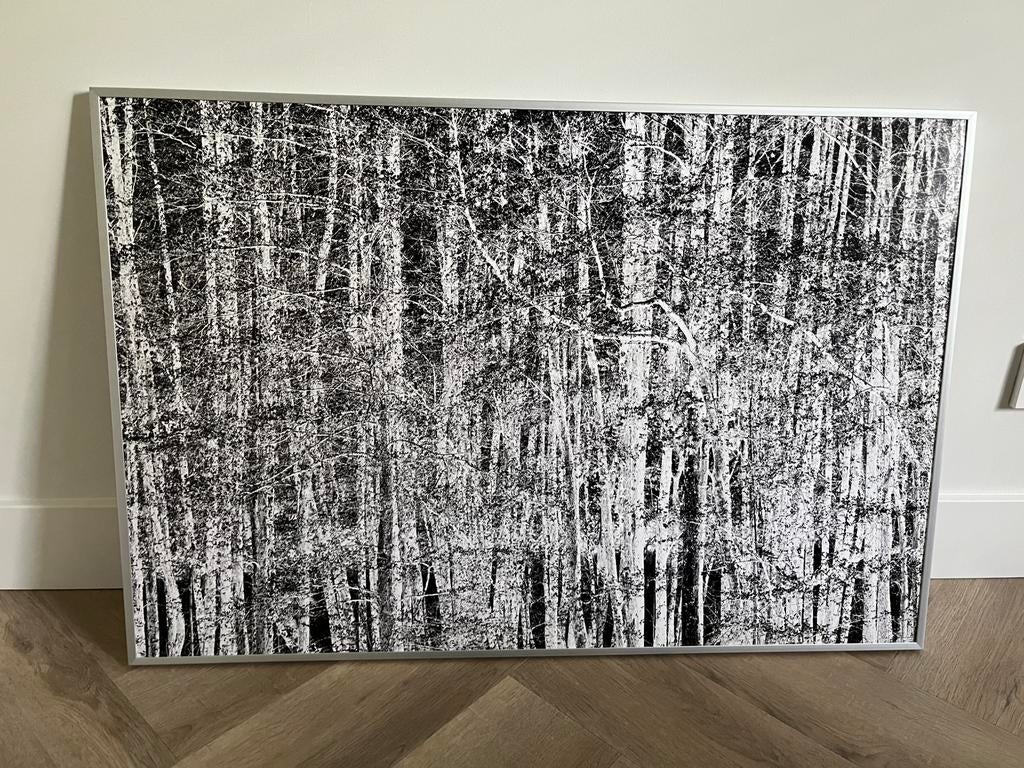 Te koop kunst Schilderij /Foto Print inclusief lijst, Antiek en Kunst, Ophalen of Verzenden