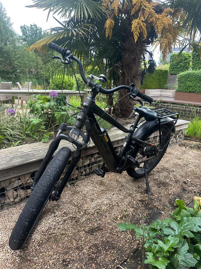 Radrhino 6+ met veel upgrades, Fietsen en Brommers, Elektrische fietsen, Zo goed als nieuw, Overige merken, 51 tot 55 cm, 50 km per accu of meer