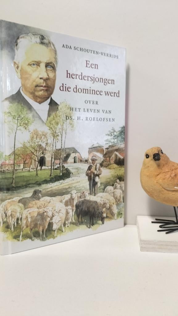 Schouten- Verrips, Ada; Een herderjongen die dominee werd, Ophalen of Verzenden, Gelezen
