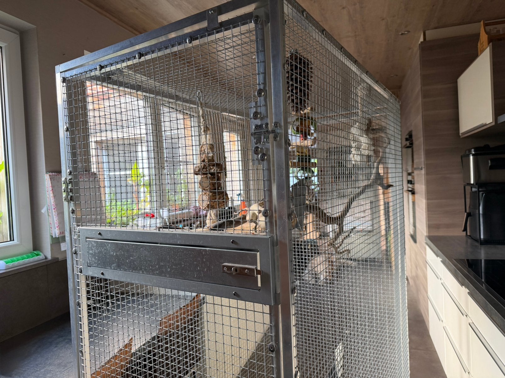 Aluminium kooi | voliere, Dieren en Toebehoren, Ophalen, Zo goed als nieuw, Aluminium, Volière