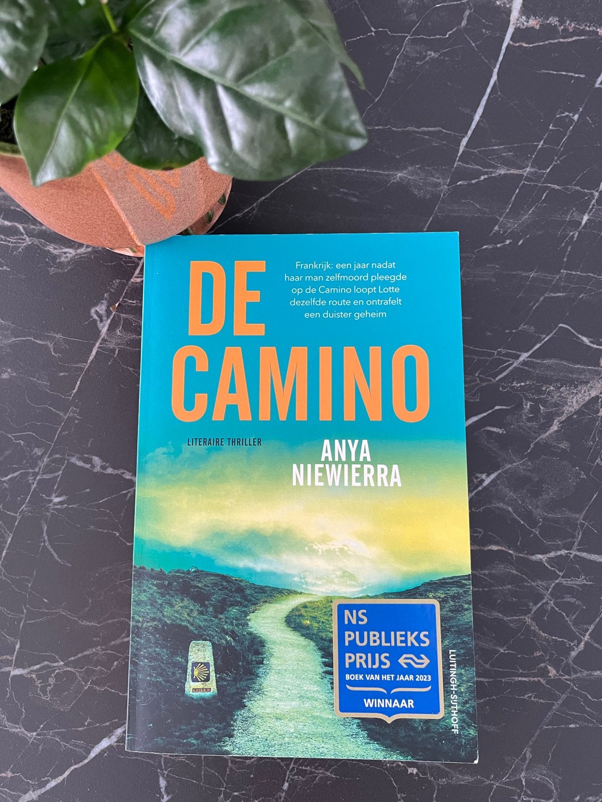 Boek De Camino - Anya Niewierra, Ophalen of Verzenden, Zo goed als nieuw, Nederland