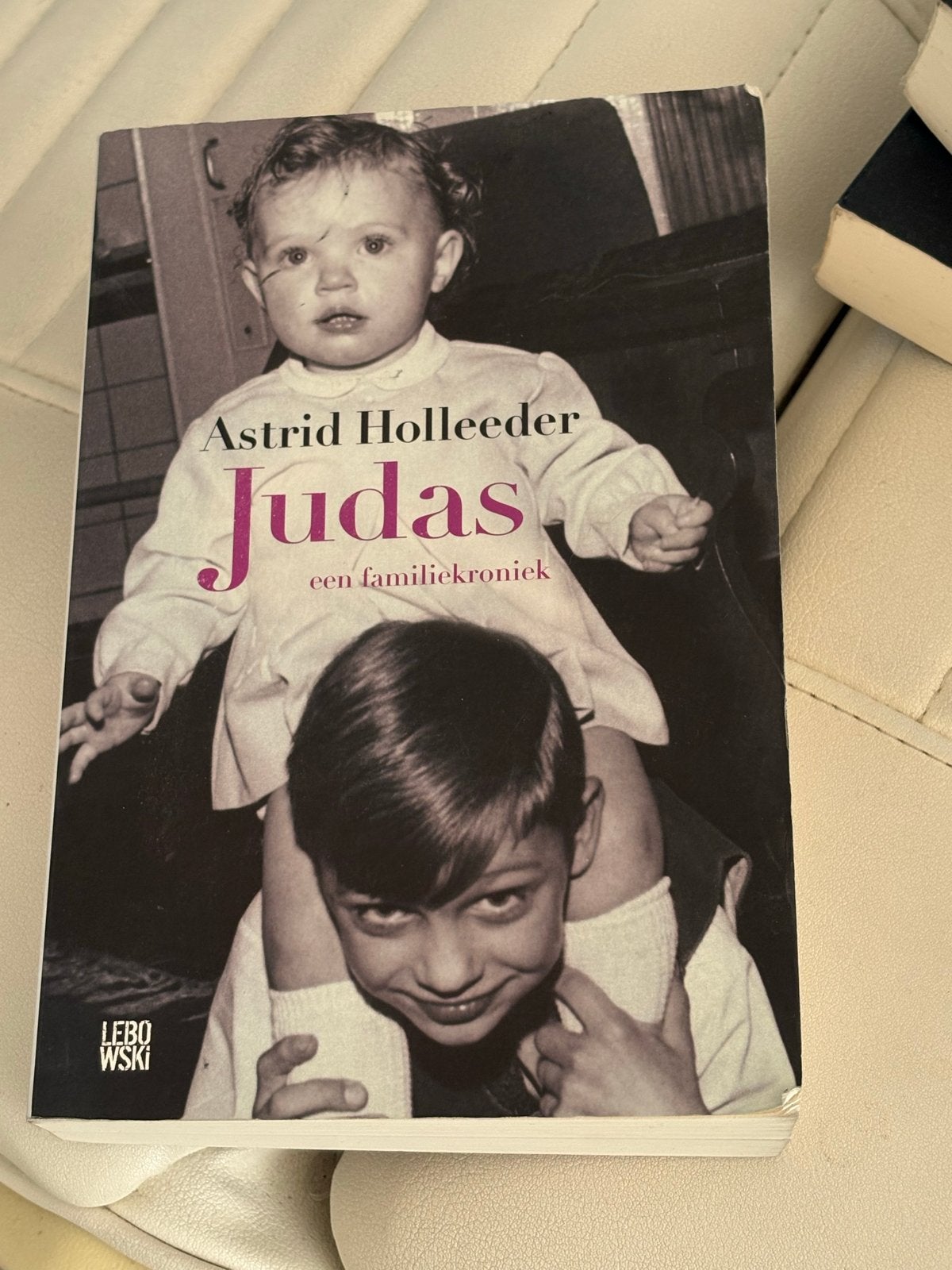 Astrid Holleeder - Judas: Een familie kroniek, Ophalen of Verzenden, Zo goed als nieuw, Overige