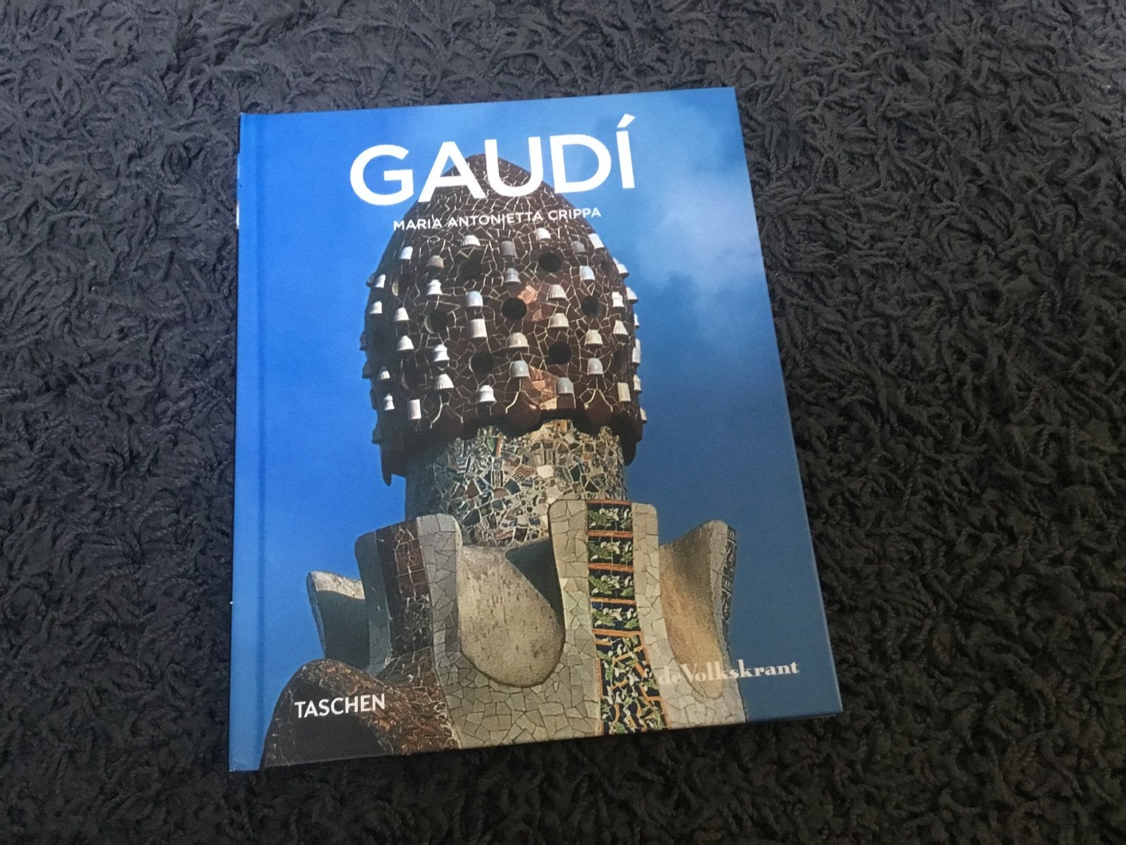 Gaudi - Maria Antonietta Crippa - Taschen, Ophalen of Verzenden, Zo goed als nieuw, Architecten