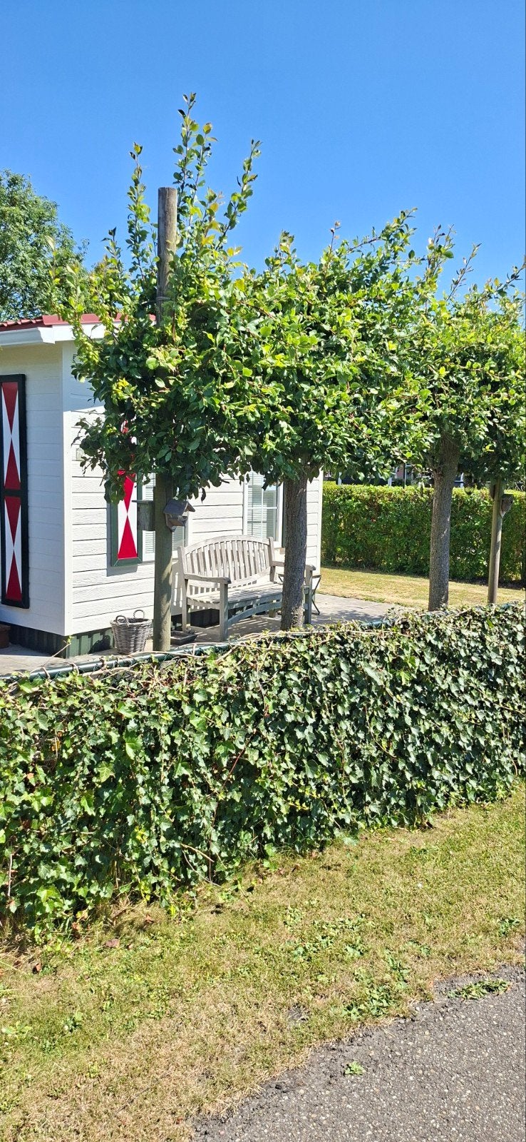 Te koop chalet in Zeeland ( Baarland), Tot en met 4