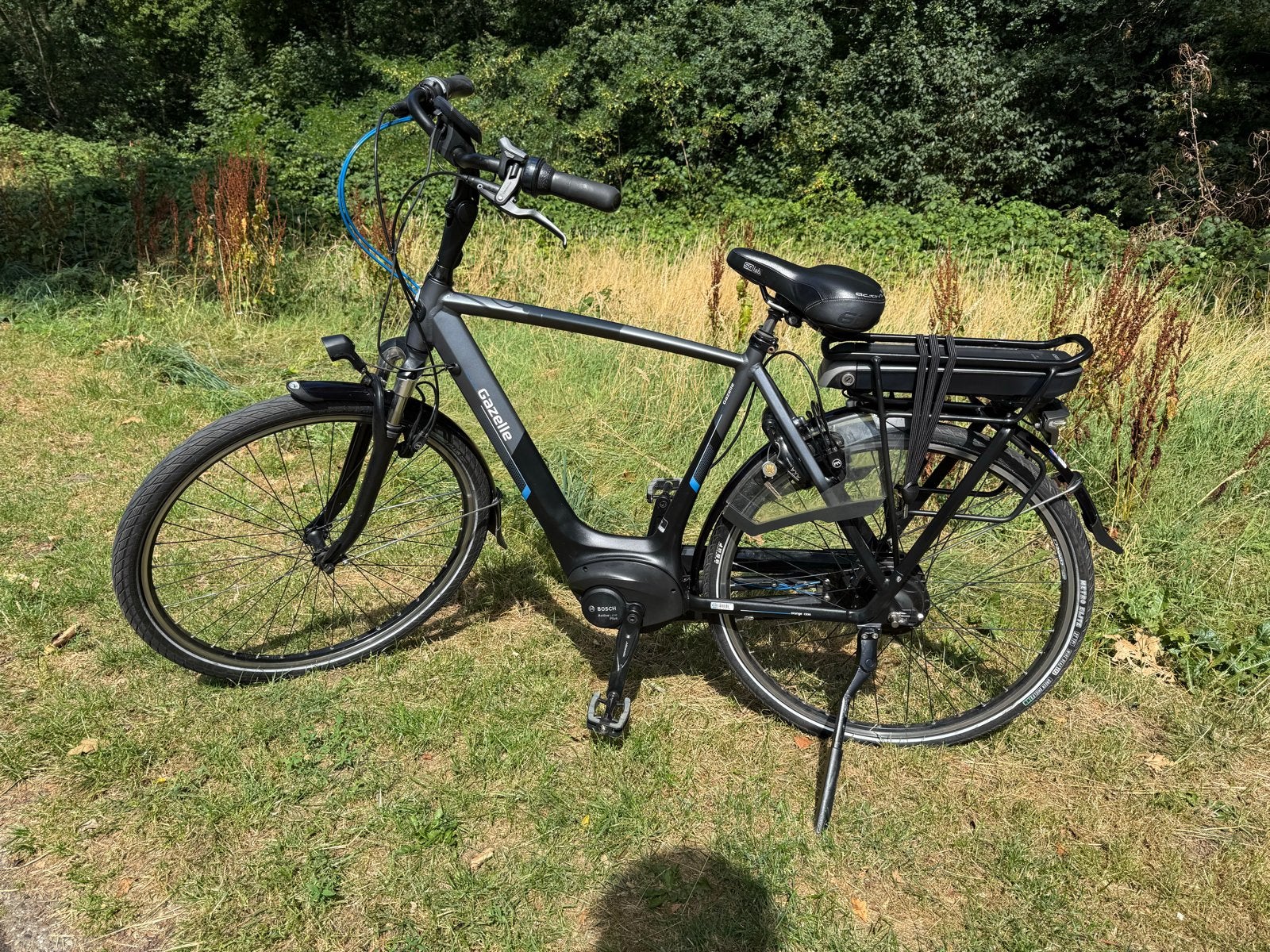 Gazelle e-bike met Bosch motor, Ophalen, Gebruikt, 50 km per accu of meer, 55 tot 59 cm