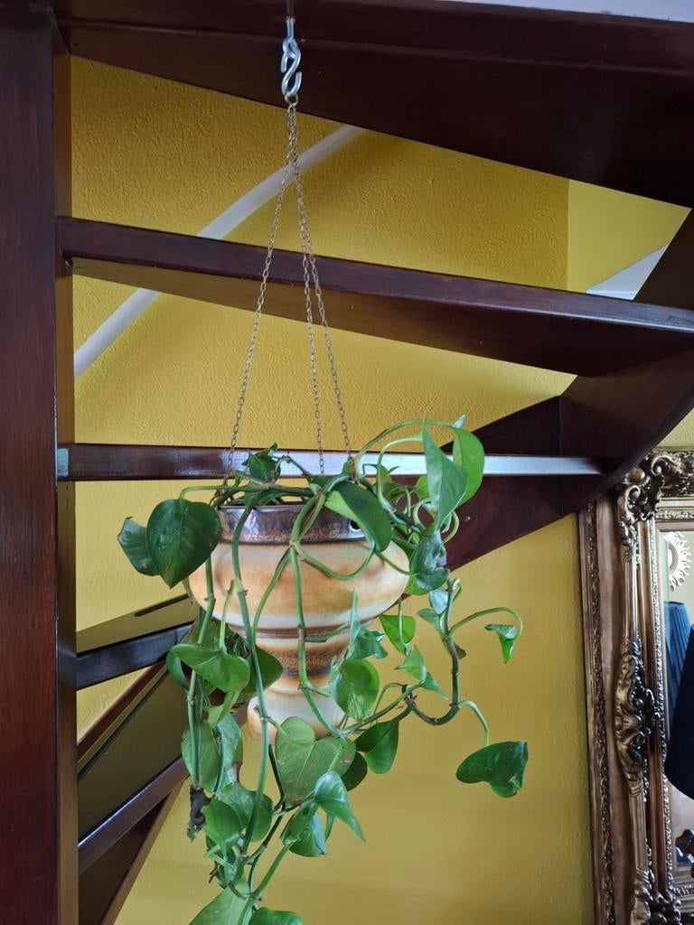 Hangpot bloempot West-Germany vintage 70s, Rond, Binnen, Ophalen of Verzenden, Zo goed als nieuw