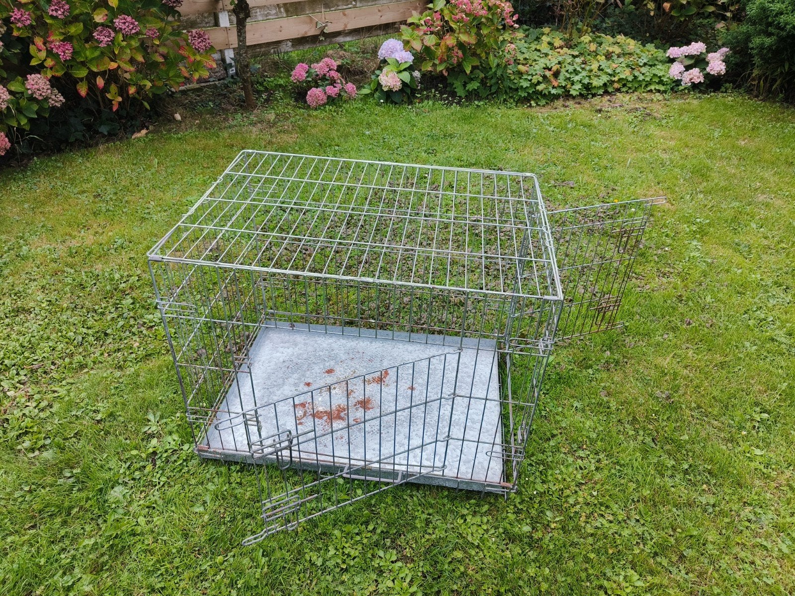 Bench voor hond, Ophalen, Gebruikt
