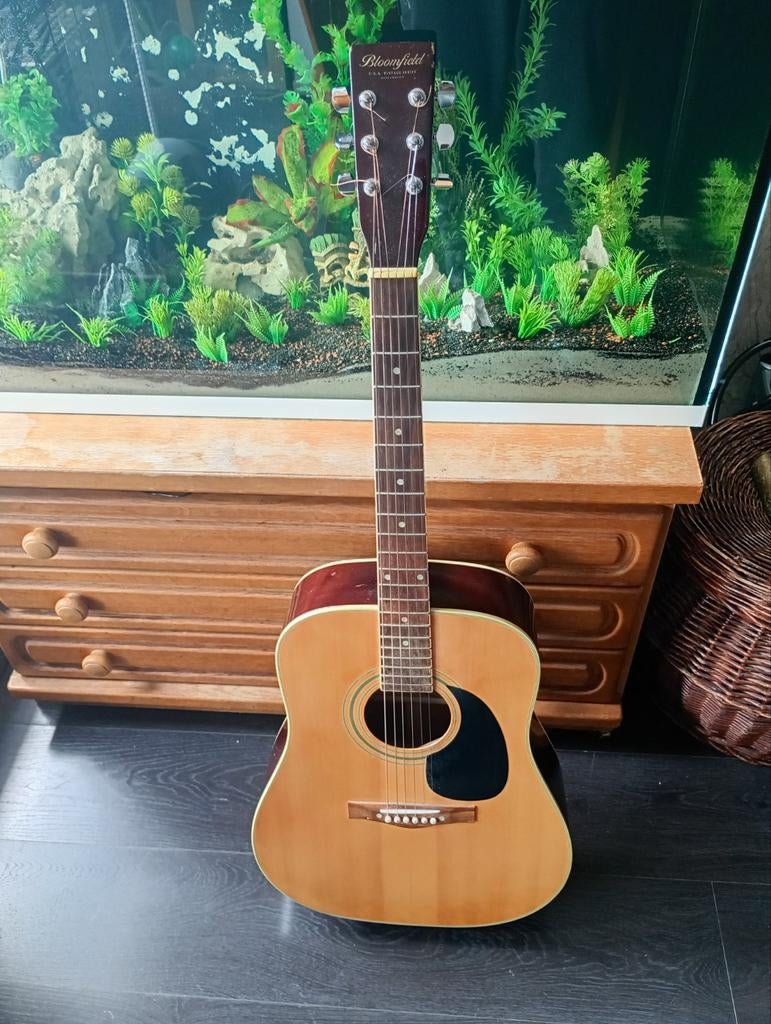 Bloomfield Western Gitaar - Vintage Serie, Ophalen of Verzenden, Gebruikt, Western- of Steelstringgitaar