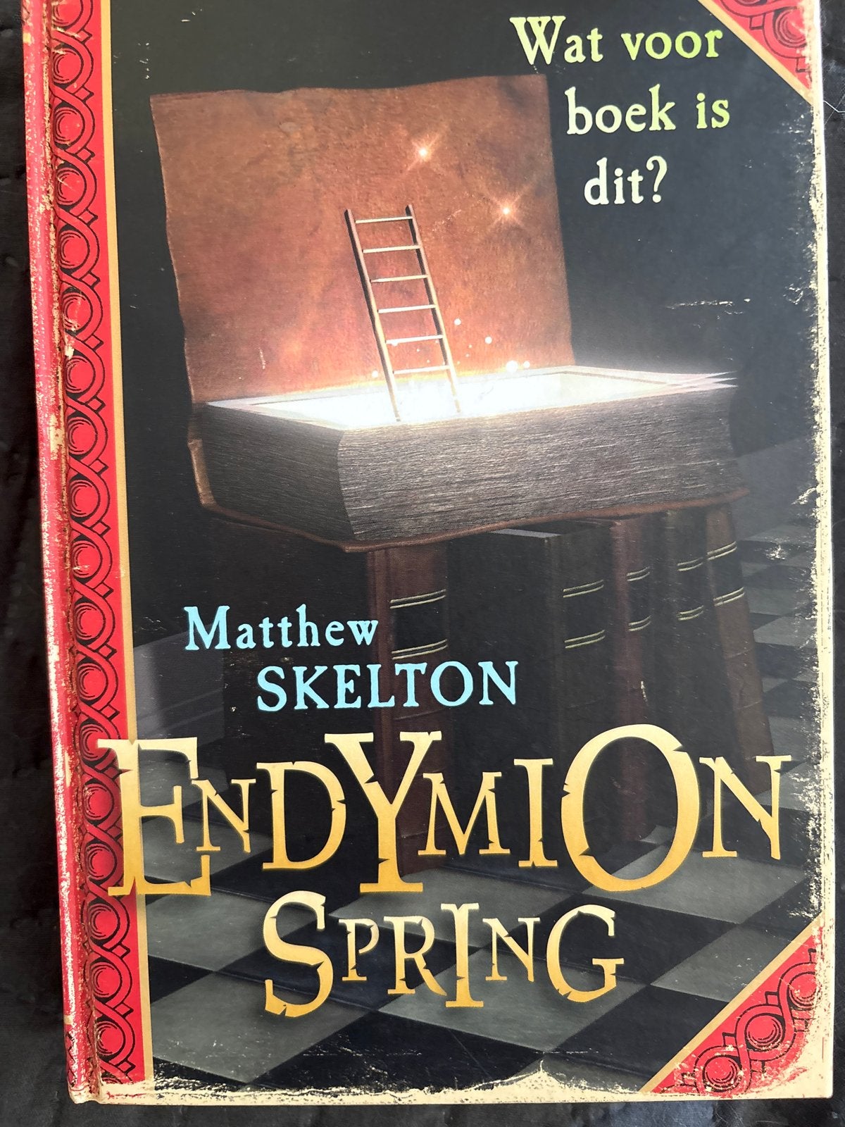 Endymion Spring - Matthew Skelton (Nederlandstalig), Boeken, Ophalen, Zo goed als nieuw, Nederland