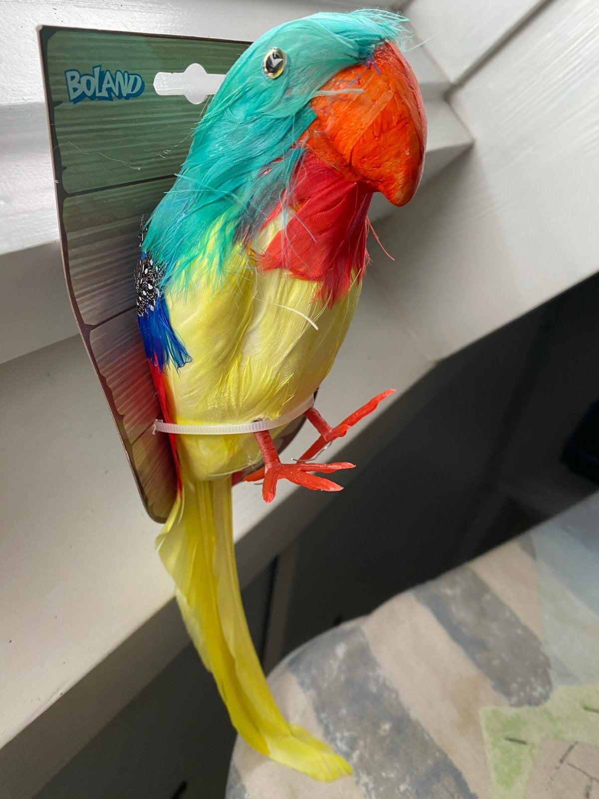 Nieuwe decoratieve papegaai - 30 cm, Ophalen of Verzenden, Nieuw, Meerkleurig, Overige materialen