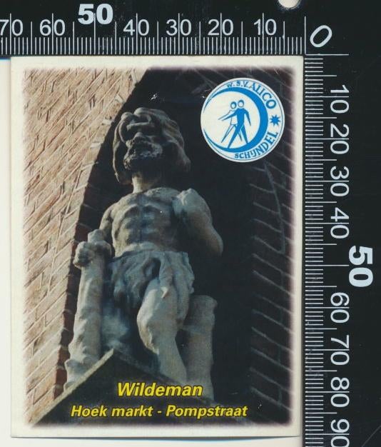 Sticker: WSV Alico - Schijndel - Wildeman, Ophalen of Verzenden, Zo goed als nieuw, Sport