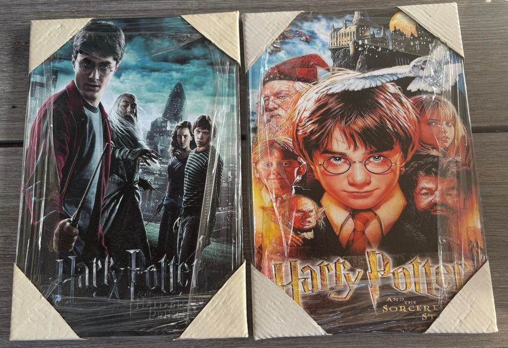 Harry Potter Schilderijen 28x19cm - Nieuw in Verpakking, Verzamelen, Harry Potter, Ophalen of Verzenden, Nieuw, Overige typen