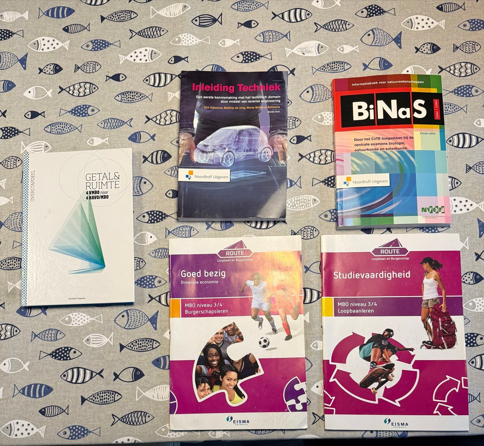 Diverse schoolboeken: MBO, HAVO/VWO, Techniek, BiNaS, Boeken, Ophalen of Verzenden, Beta, Gelezen, MBO