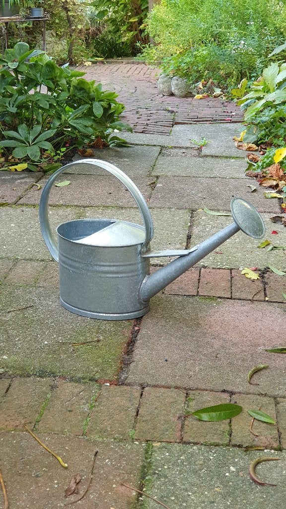 Zinken gieter, Tuin en Terras, Ophalen, Zo goed als nieuw, Metaal