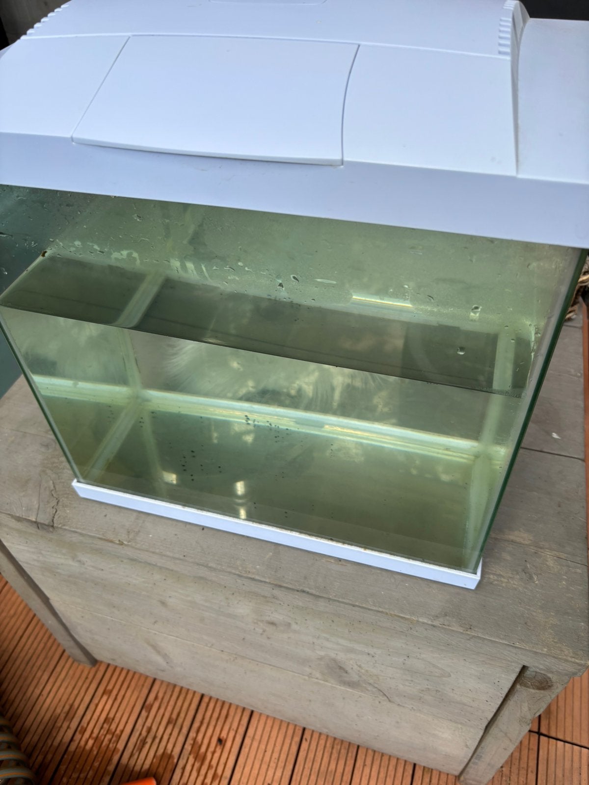 Aquarium van het merk Superfish, Ophalen, Gebruikt, Leeg aquarium, Superfish