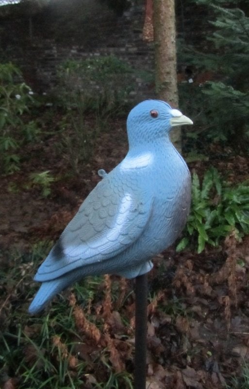 DUIFJE, Ophalen of Verzenden, Nieuw