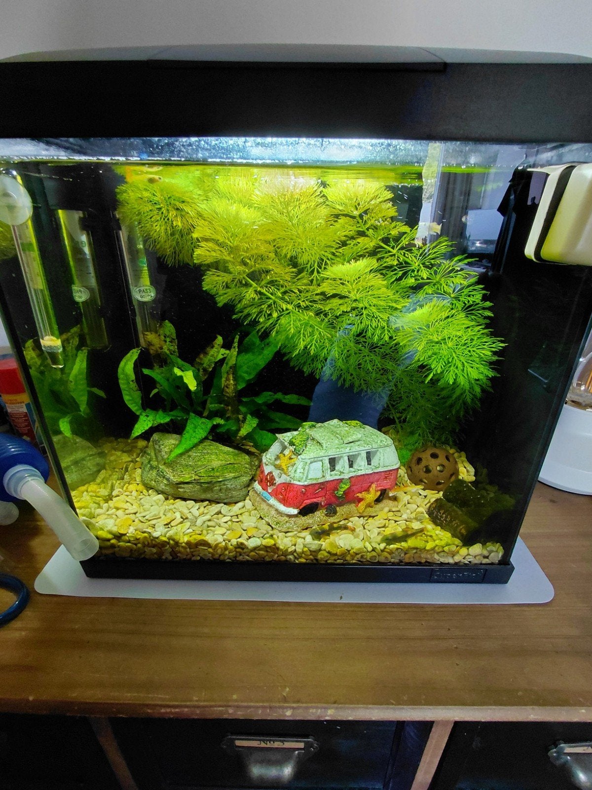Superfish 30 tropisch aquarium starter kit met vissen, Ophalen of Verzenden, Superfish, Pomp, Gevuld zoetwateraquarium