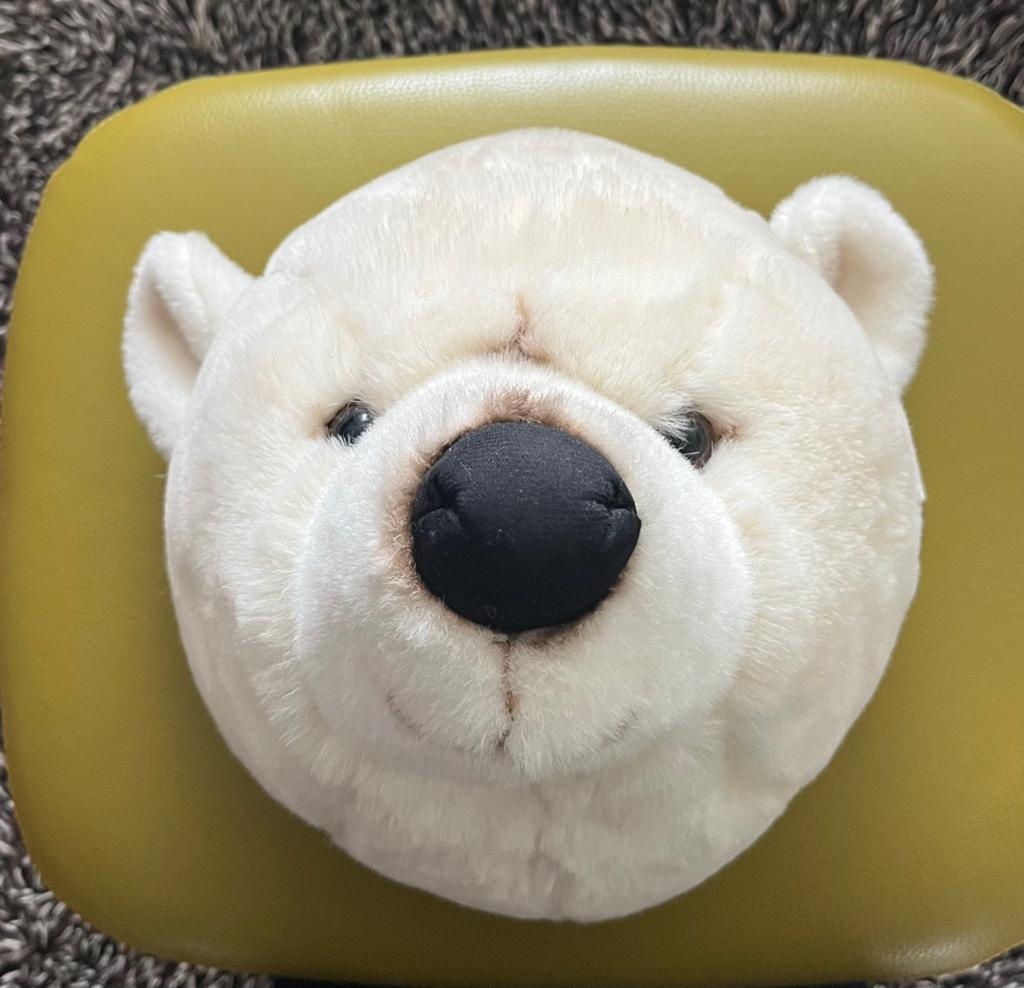 Wand knuffel pluche dierenkop. Zgan . Olifant / IJsbeer etc, Kinderen en Baby's, Kinderkamer | Inrichting en Decoratie, Zo goed als nieuw