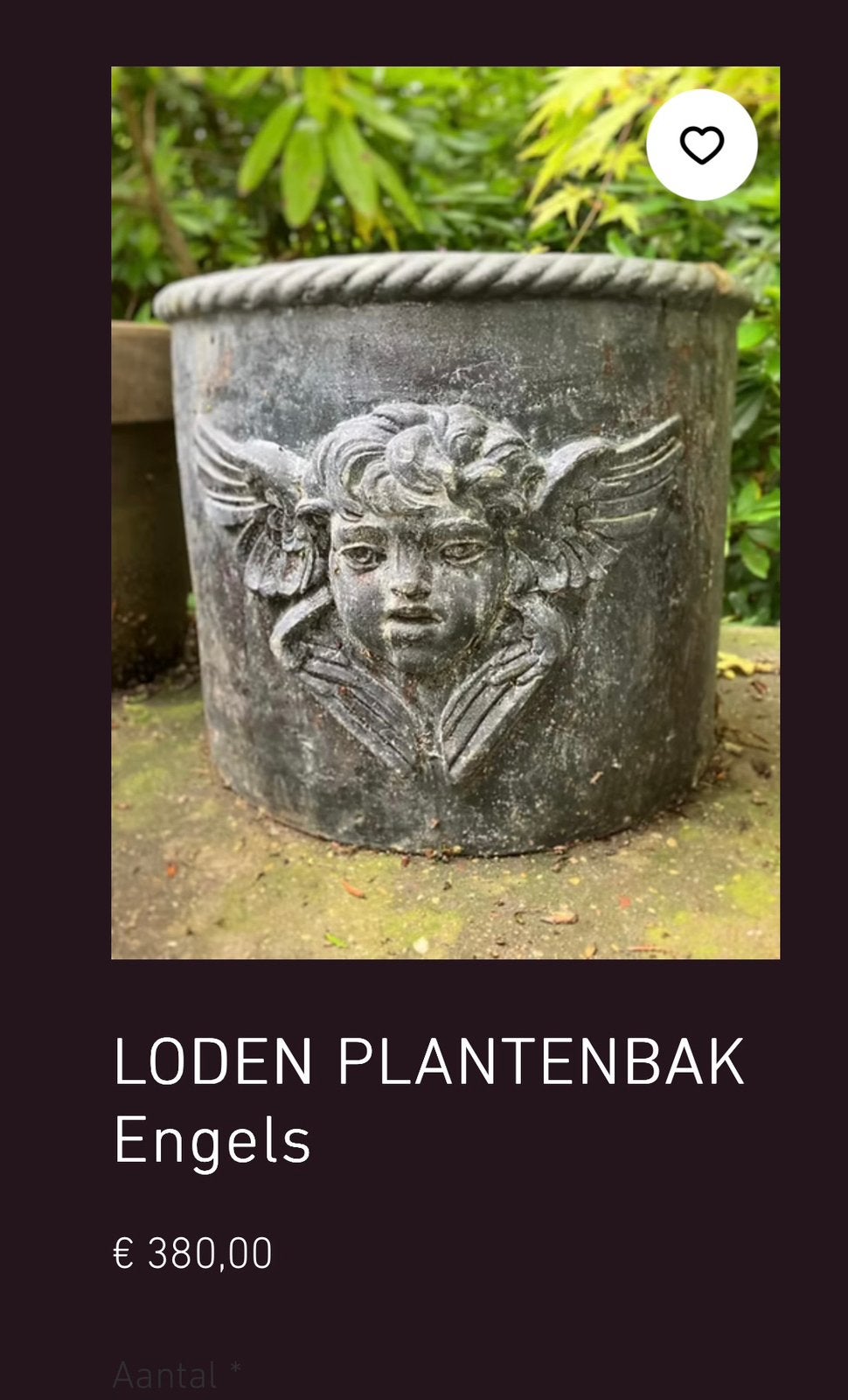 Loden engelse planten bak., Tuin en Terras, 40 cm of meer, Ophalen of Verzenden, Zo goed als nieuw, Minder dan 40 cm