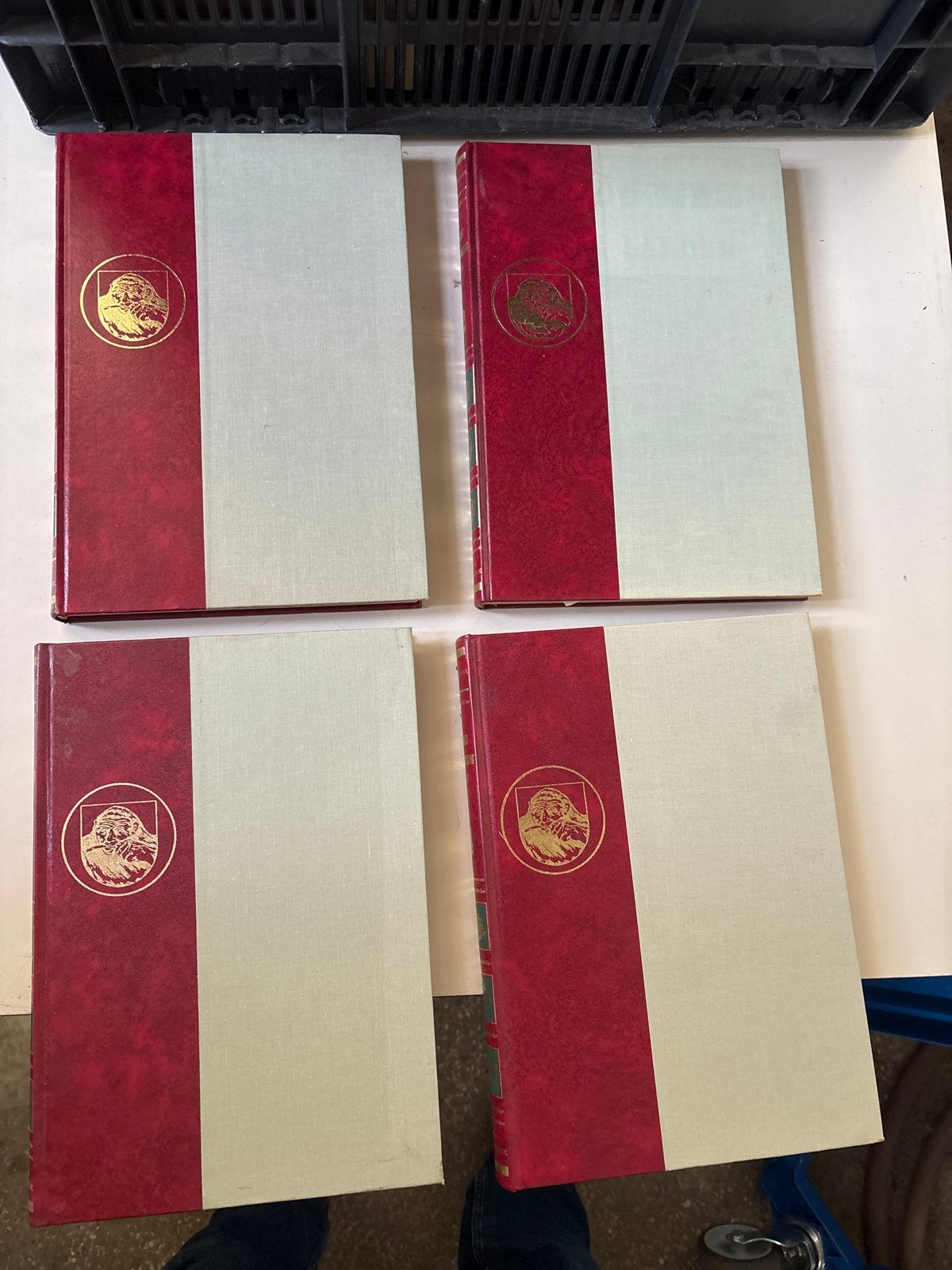 Geschiedenis van de Lage Landen - Jaap ter Haar (4 delen), Boeken, Ophalen of Verzenden, 20e eeuw of later, Zo goed als nieuw