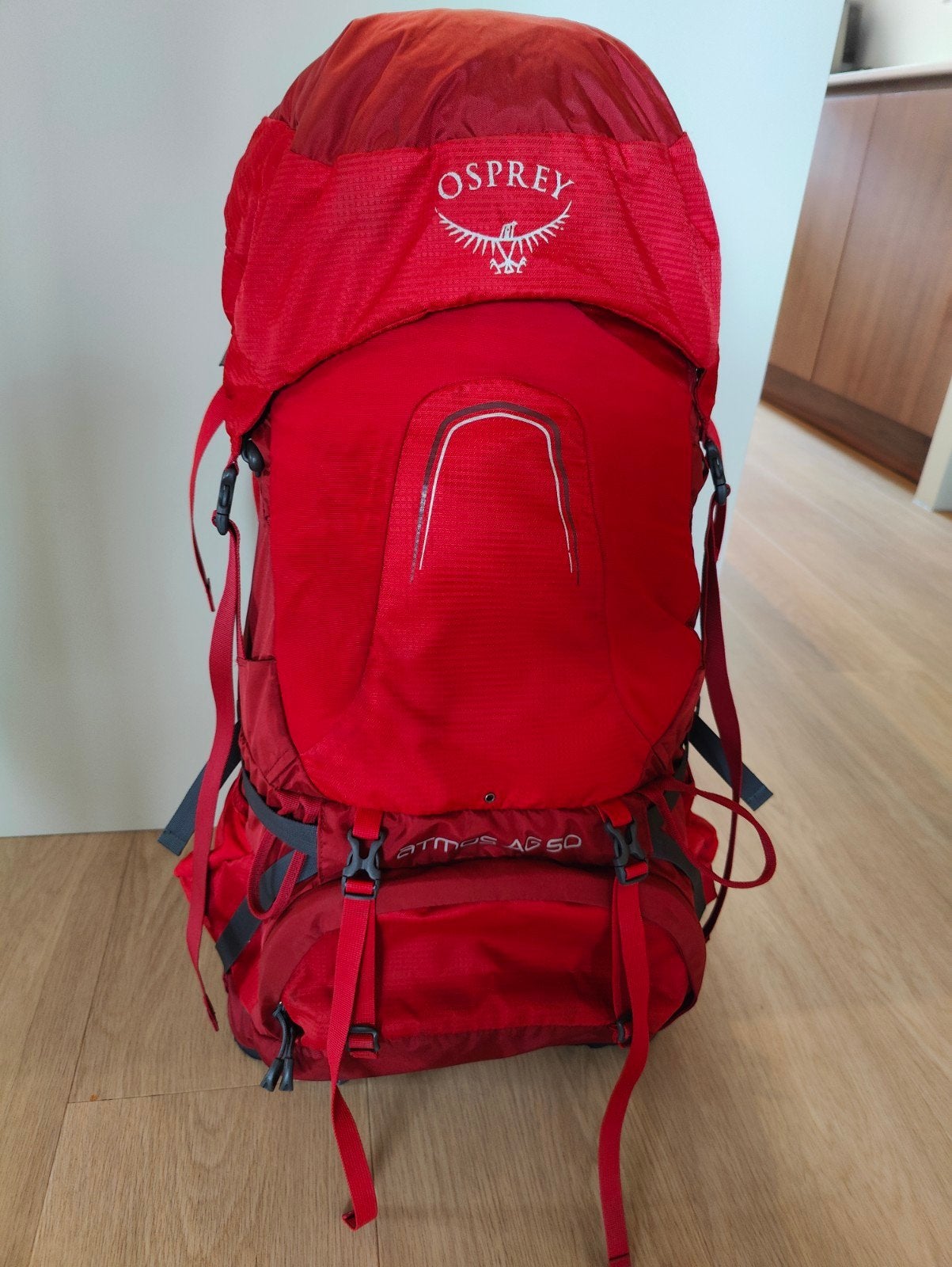 Osprey Atmos AG 50 Backpack Heren L/XL + regenhoes, Ophalen of Verzenden, Zo goed als nieuw, Osprey