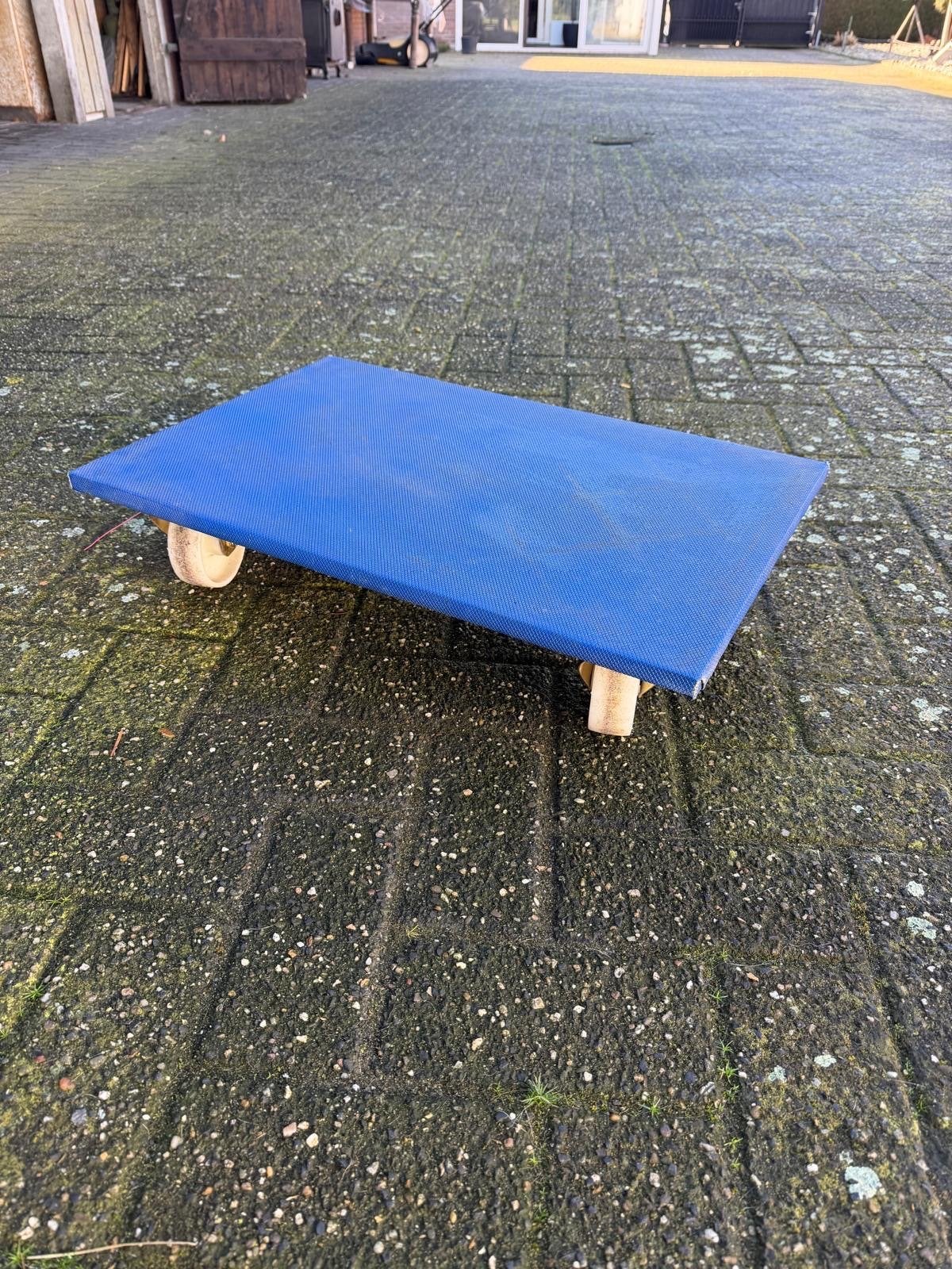 Blauwe transportroller / meubelroller, 100 liter of meer, Ophalen, Gebruikt, Transportkar