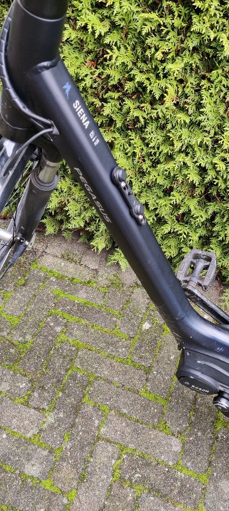 Elektrische damesfiets Pegasus Siena E7F, Fietsen en Brommers, Velgrem, Versnellingen, Ophalen, Overige merken