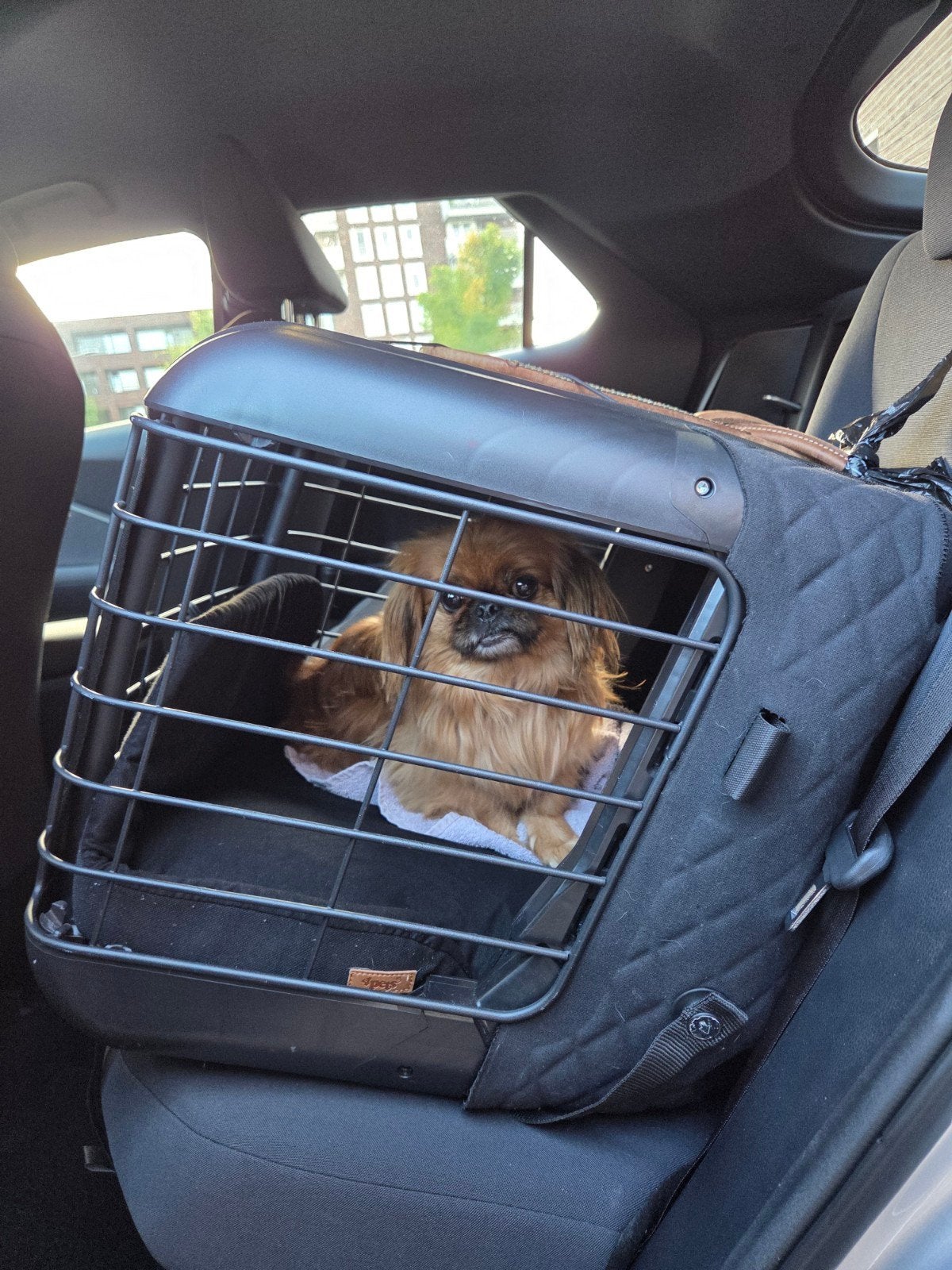 4pets Caree, Autobench met Isofix, Vervoersbox, Dieren en Toebehoren, Ophalen, Gebruikt