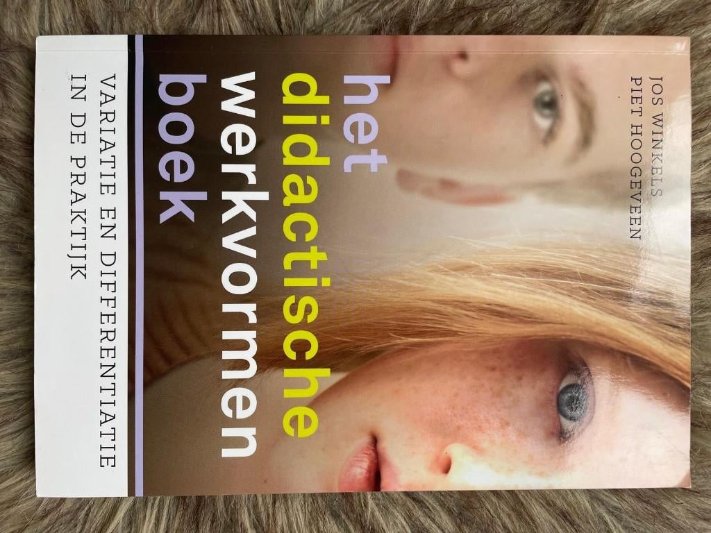 Het didactische werkvormenboek, Boeken, Studieboeken en Cursussen, Ophalen of Verzenden, Beta, Zo goed als nieuw, HBO