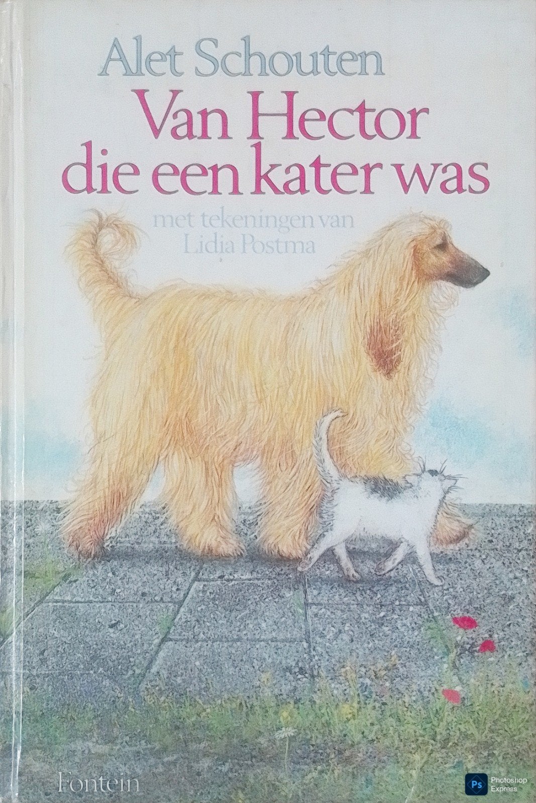 Van Hector Die Een Kater Was, Gelezen, Alet Schouten., Ophalen of Verzenden, Fictie