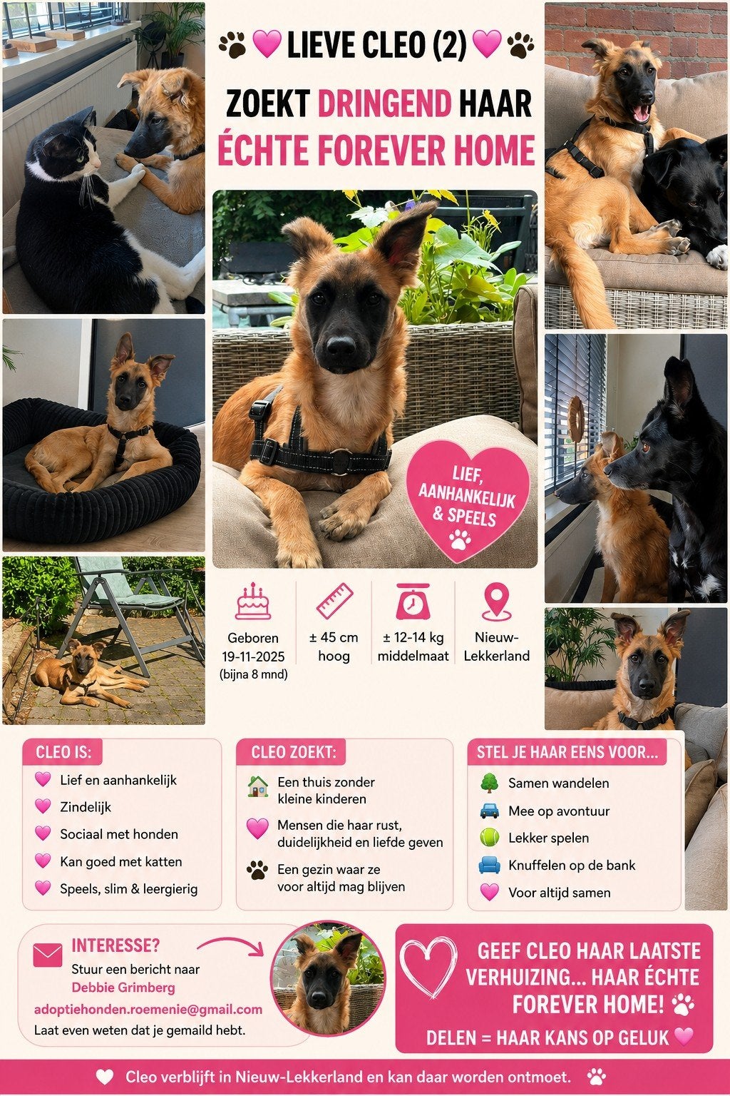 LIEVE CLEO ZOEKT HAAR EIGEN FOREVER HOME, Dieren en Toebehoren, Particulier, 15 weken tot 1 jaar, Buitenland, Teef