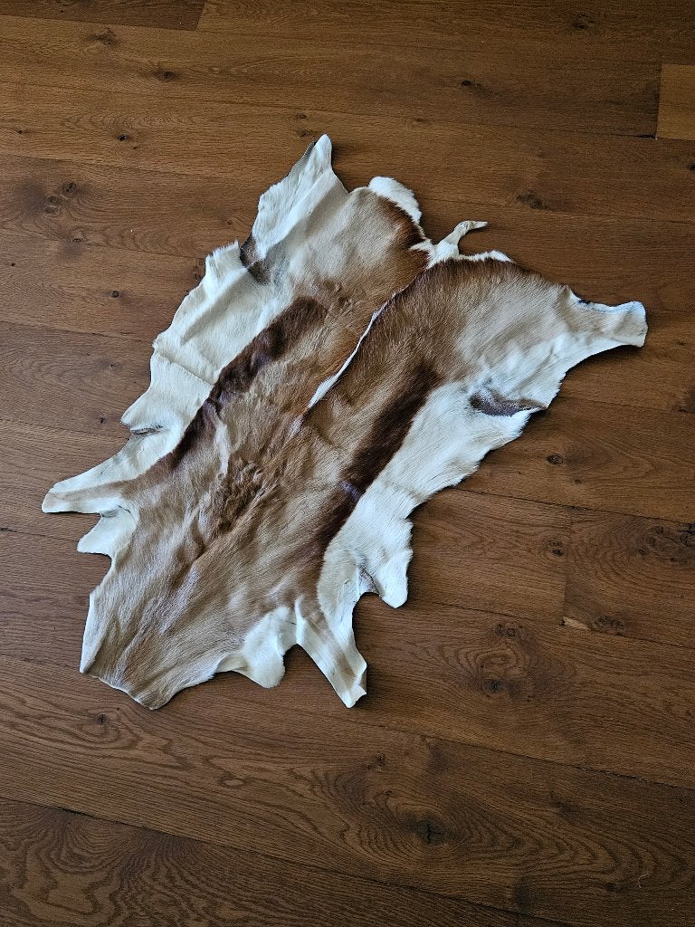 Prachtige springbok huid - Bruin/Wit, 100 tot 150 cm, Rustiek, Natuurlijk, Bohemian, Zo goed als nieuw, Overige vormen