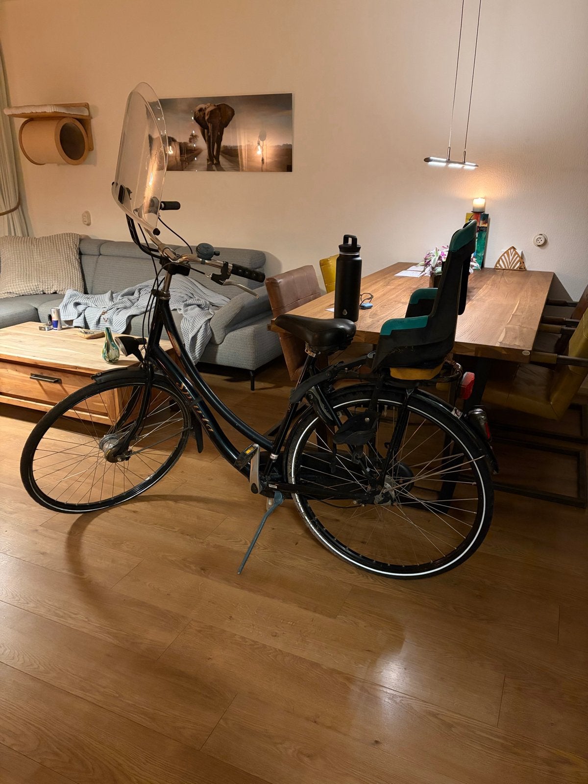 Damesfiets met kinderzitje en windscherm, Velgrem, Versnellingen, Ophalen, Overige merken