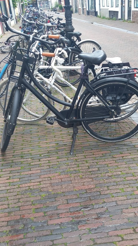 Gazelle oma fiets, Ophalen, Terugtraprem, 53 tot 56 cm, Versnellingen
