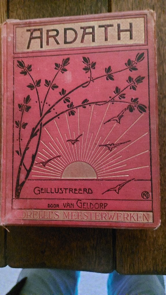 oude romans: Tolstoi+ Bruyn-Ouwehand+ Corelli +, Ophalen of Verzenden, Gelezen, Europa overig