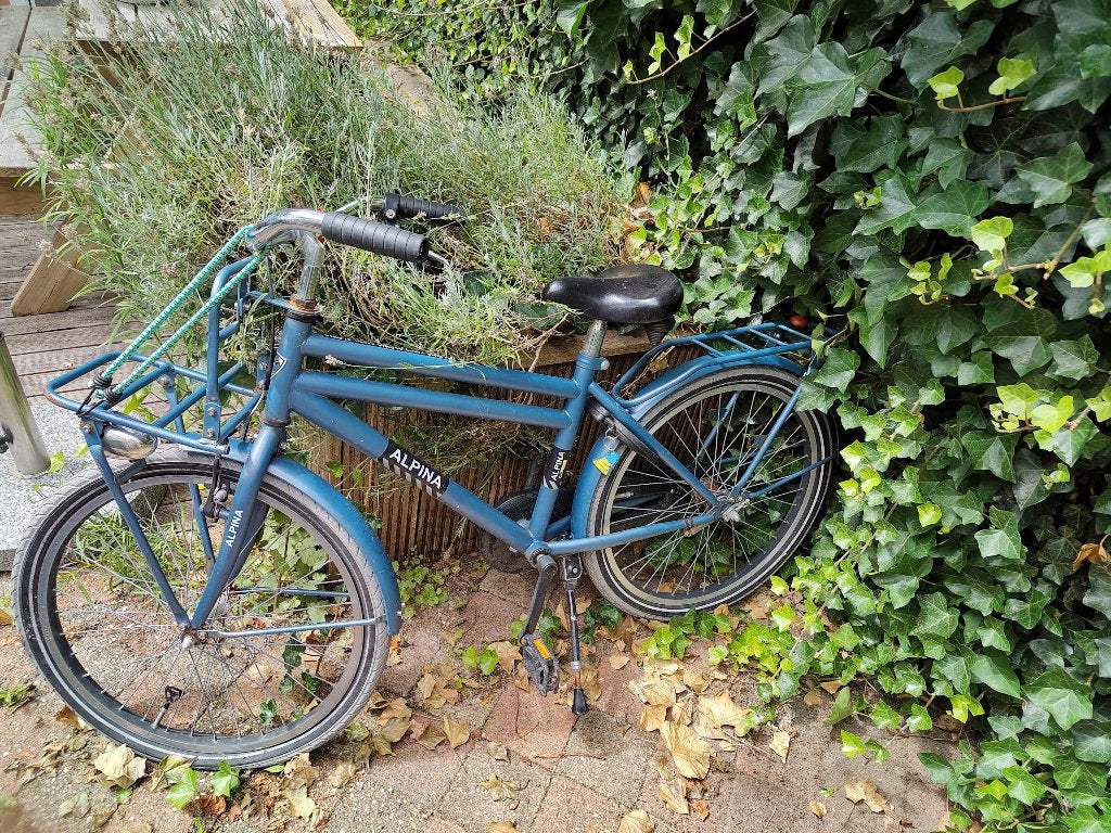 Alpina kinderfiets blauw 7/8 jaar, Ophalen, Gebruikt, 22 inch