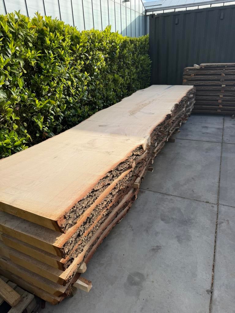 Mega grote boomstambladen eiken 520x105x8 cm, Tuin en Terras, Palen, Balken en Planken, Ophalen, 250 cm of meer, Planken