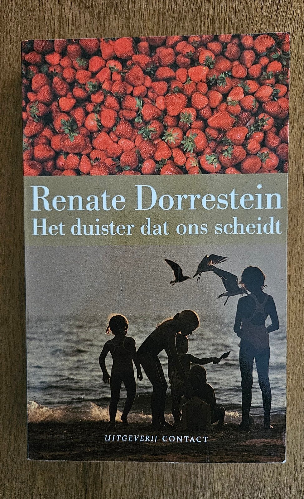 Tweedehands boek - Het duister dat ons scheidt, Ophalen of Verzenden, Renate Dorrestein