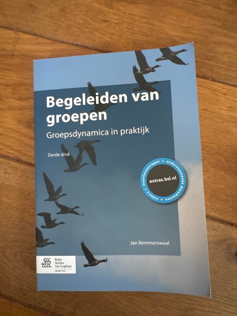 Begeleiden van groepen - Groepsdynamica in praktijk, Ophalen of Verzenden, Gamma, Zo goed als nieuw, HBO