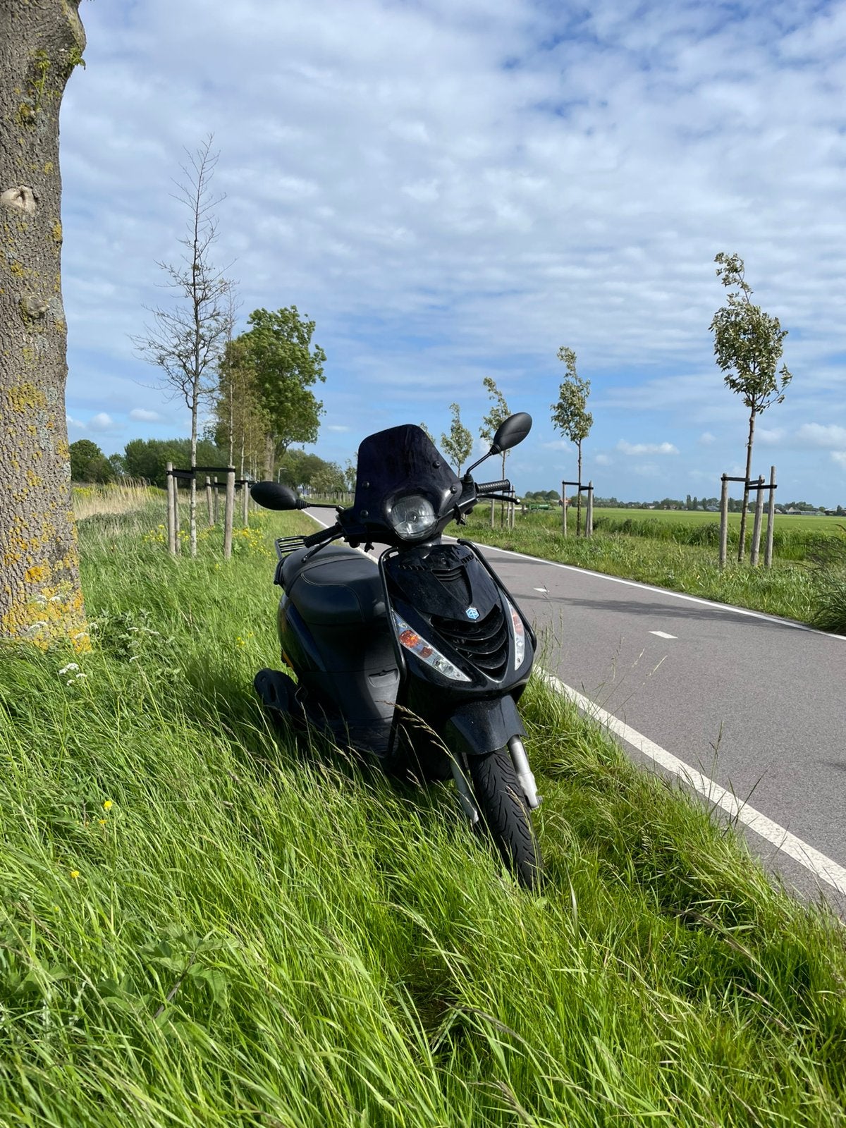 Piaggo zip 50 cc, Ophalen, Gebruikt, Overige modellen, Maximaal 45 km/u