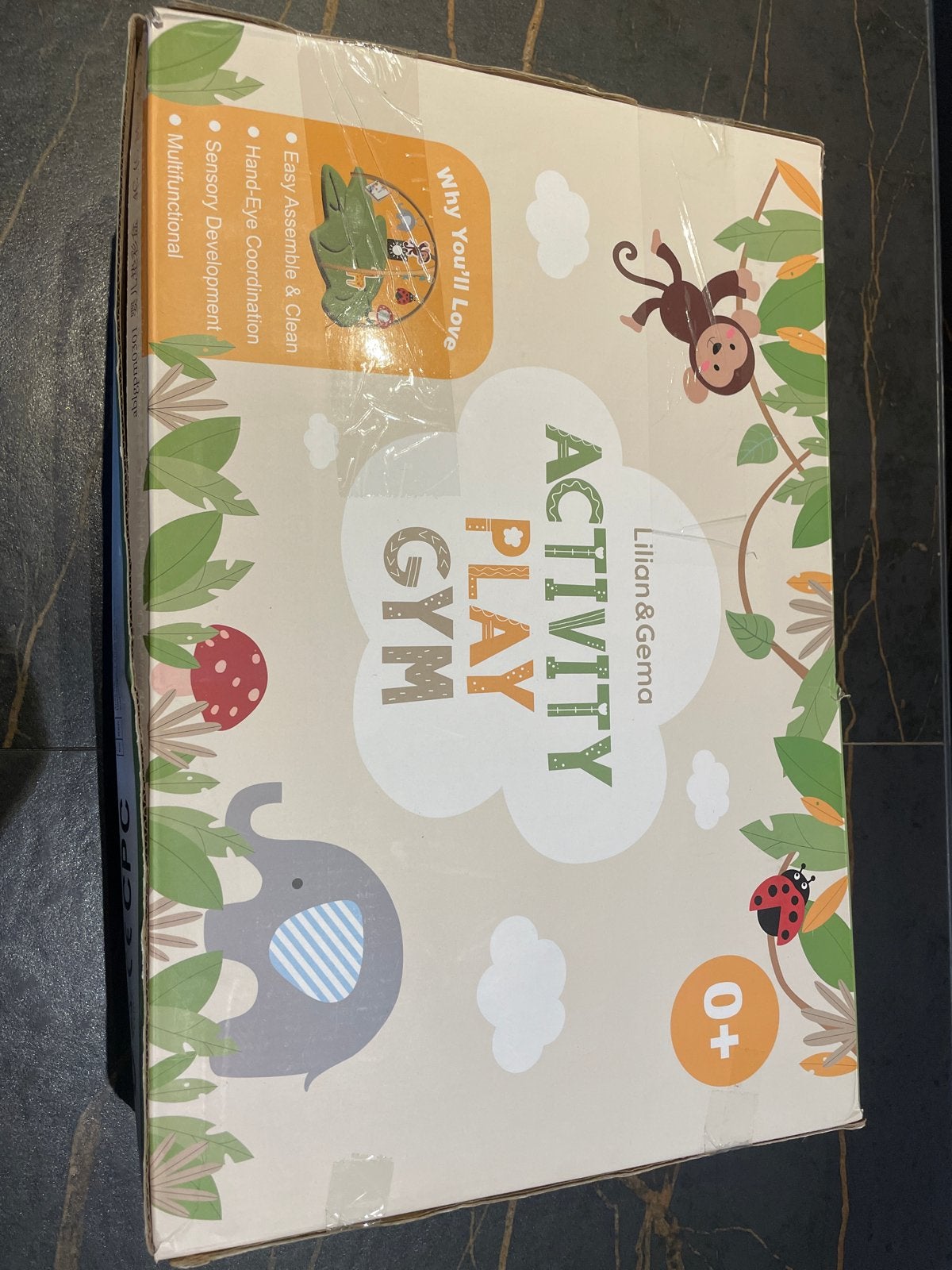 Lilian & Germa Activity Play Gym - Nieuw in doos, Ophalen of Verzenden, Nieuw, Babygym