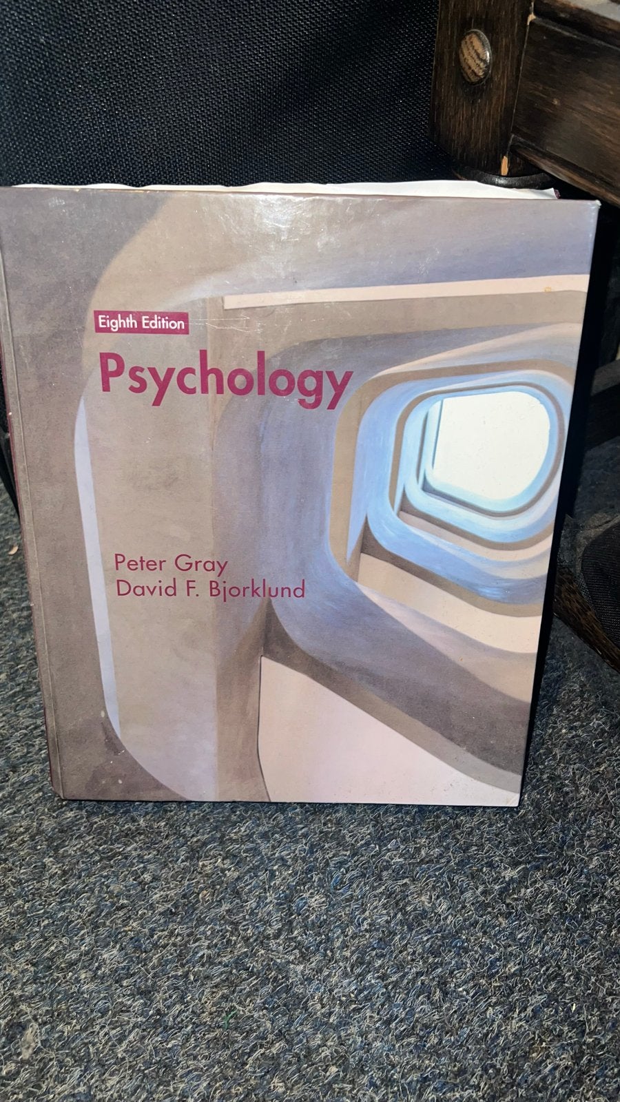 Psychology - Peter Gray & David F. Bjorklund (8e editie), Ophalen of Verzenden, Gamma, Gelezen, HBO