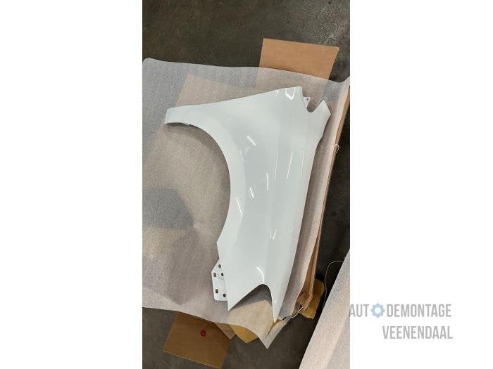 Scherm links-voor van een Volkswagen Polo (LC9A), -, Volkswagen, -, Nieuw