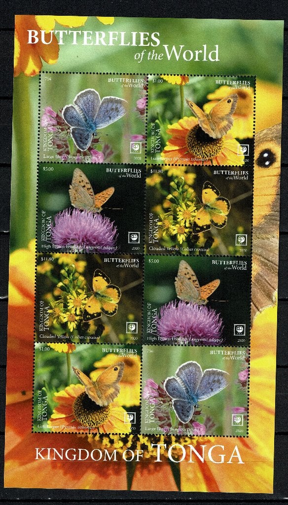 TONGA 2020 PF BLOK VLINDERS INSECTEN BUTTERFLIES 3, Postzegels en Munten, Postzegels | Thematische zegels, Postfris, Dier of Natuur