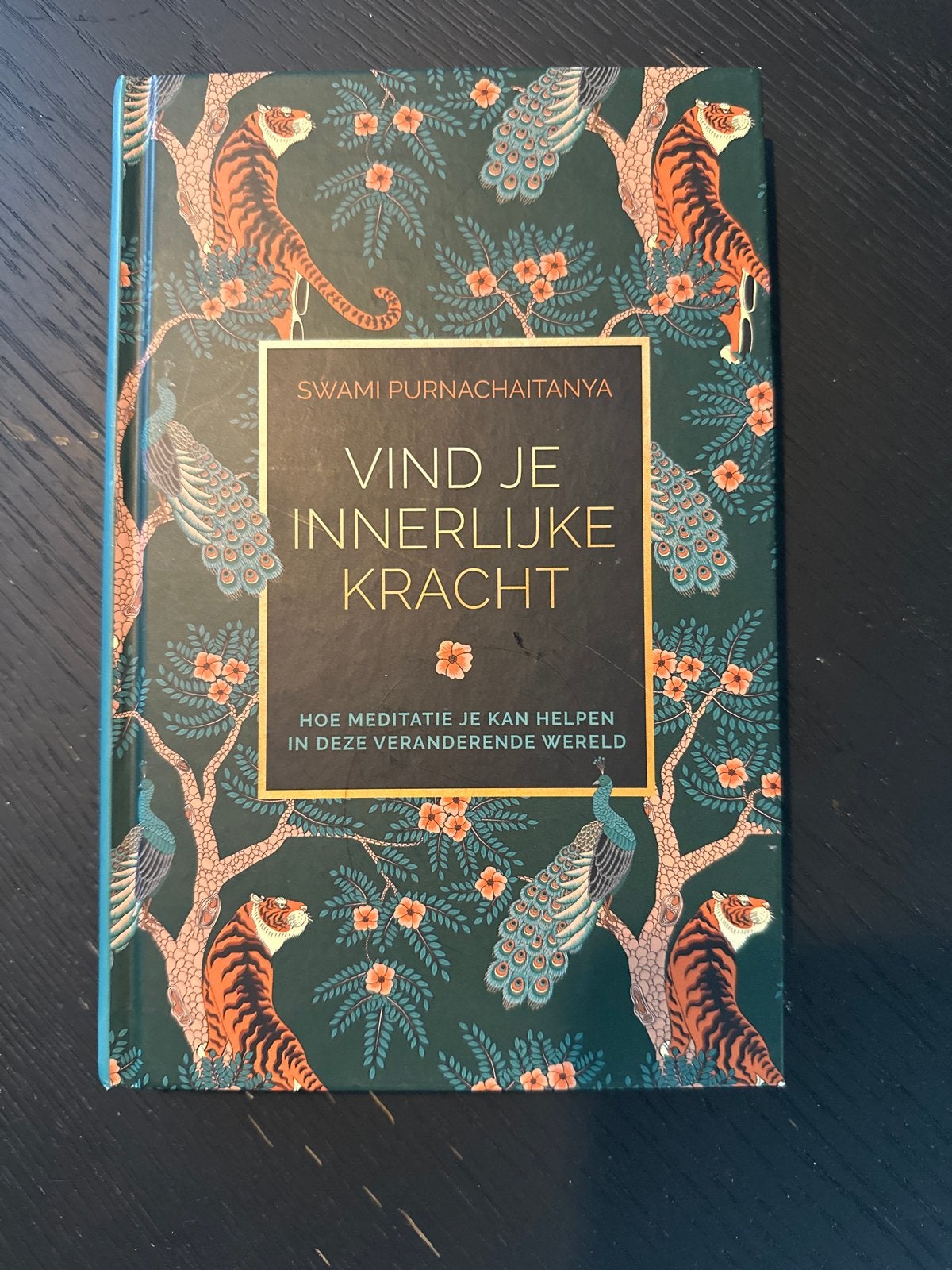 Vind je Innerlijke Kracht: Meditatie en Spiritualiteit, Boeken, Gelezen, Meditatie of Yoga, Ophalen of Verzenden, Instructieboek