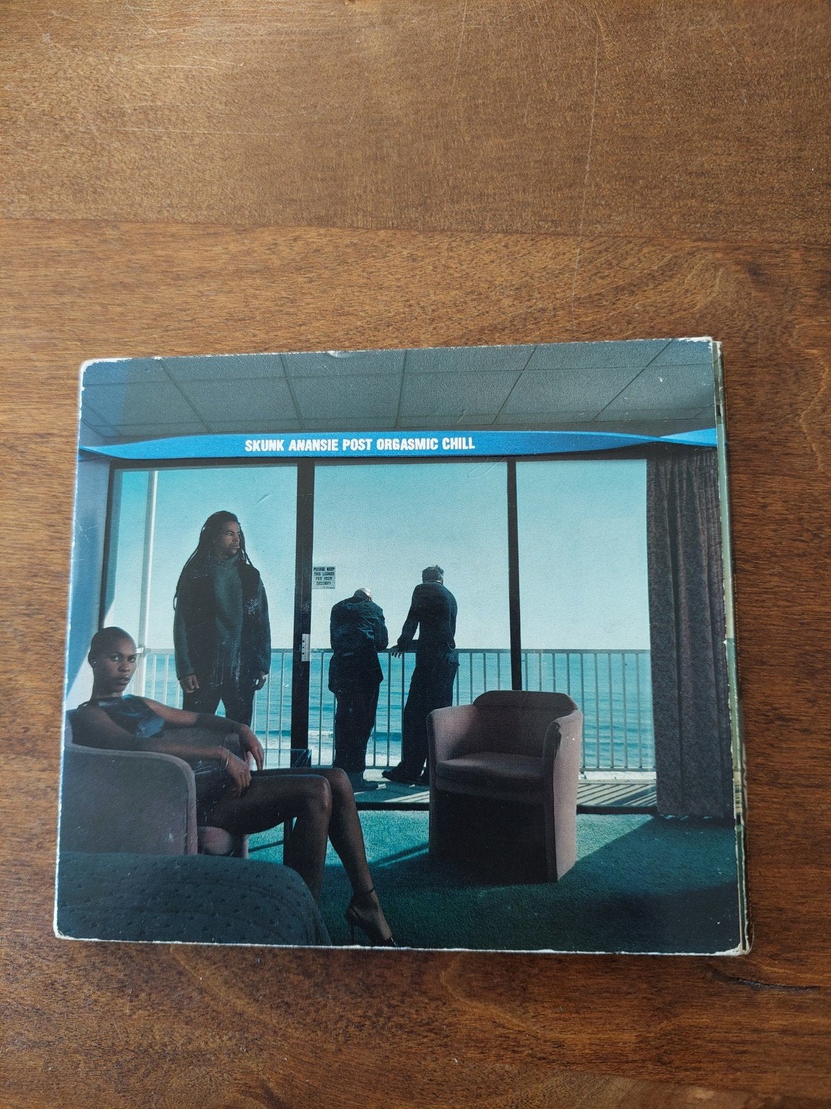 Skunk Anansie - Post Orgasmic Chill CD (Gebruikt), Ophalen of Verzenden, Gebruikt, Alternative Rock, Album