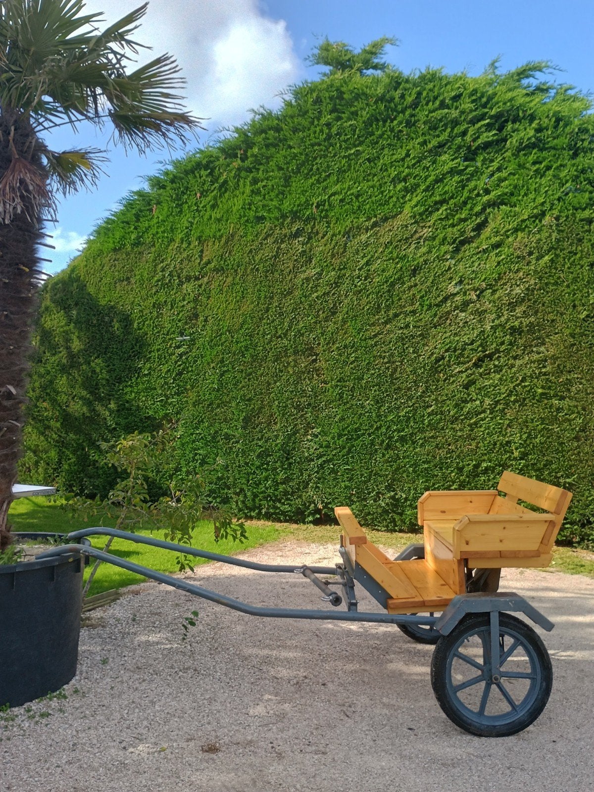 Menwagen tweewieler pony, Dieren en Toebehoren, Gebruikt, Sulky, Pony